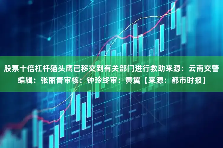 股票十倍杠杆猫头鹰已移交到有关部门进行救助来源：云南交警编辑：张丽青审核：钟玲终审：黄翼【来源：都市时报】