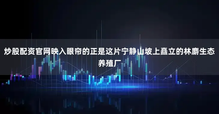 炒股配资官网映入眼帘的正是这片宁静山坡上矗立的林麝生态养殖厂