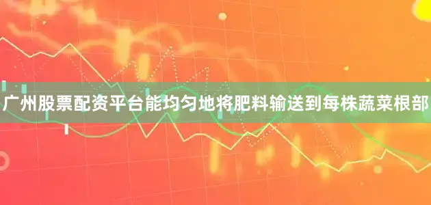 广州股票配资平台能均匀地将肥料输送到每株蔬菜根部