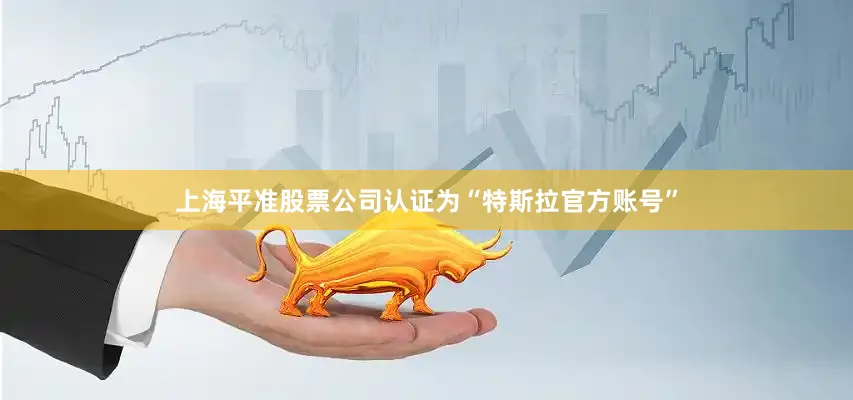 上海平准股票公司认证为“特斯拉官方账号”
