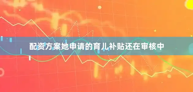 配资方案她申请的育儿补贴还在审核中