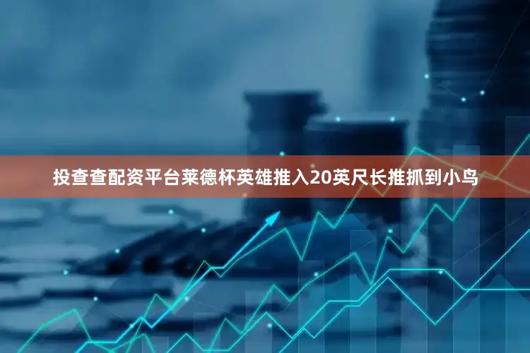 投查查配资平台莱德杯英雄推入20英尺长推抓到小鸟
